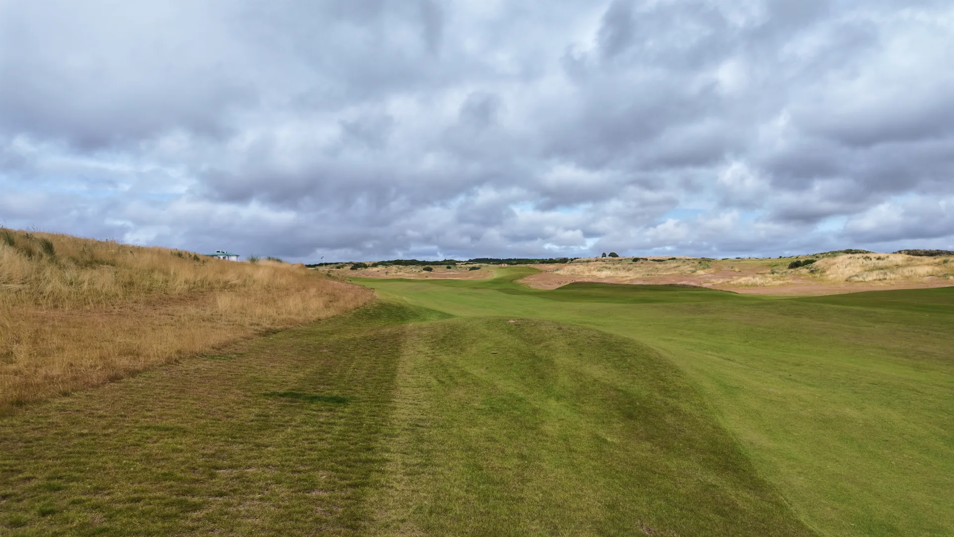 A fairway framed by golden rough